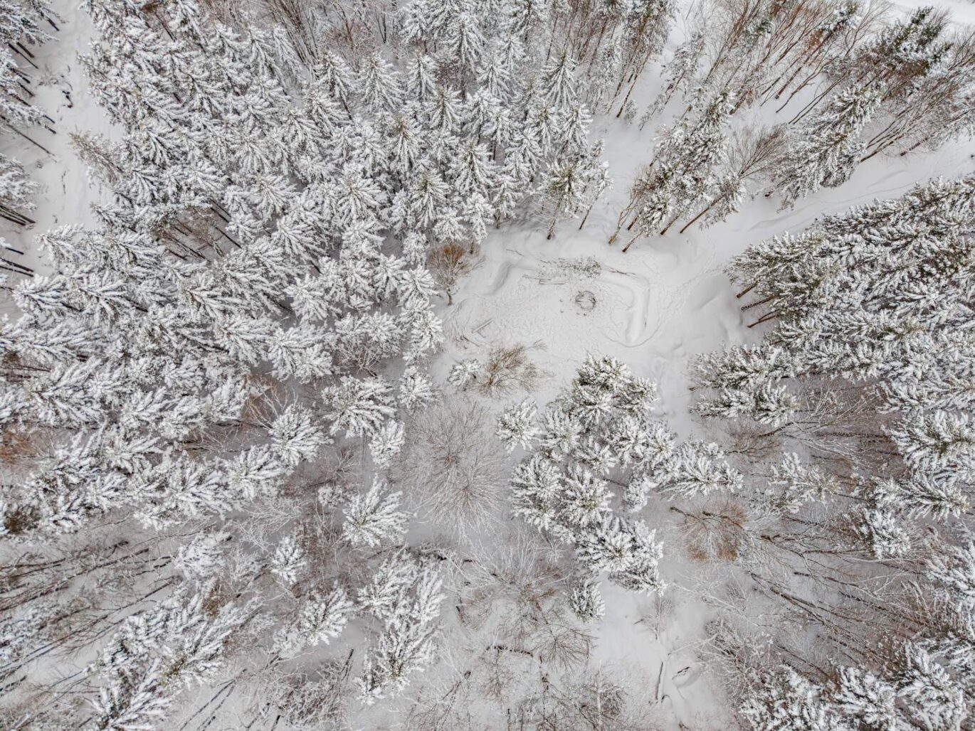 Ch. des Appalaches  Bolton-Ouest (Estrie)