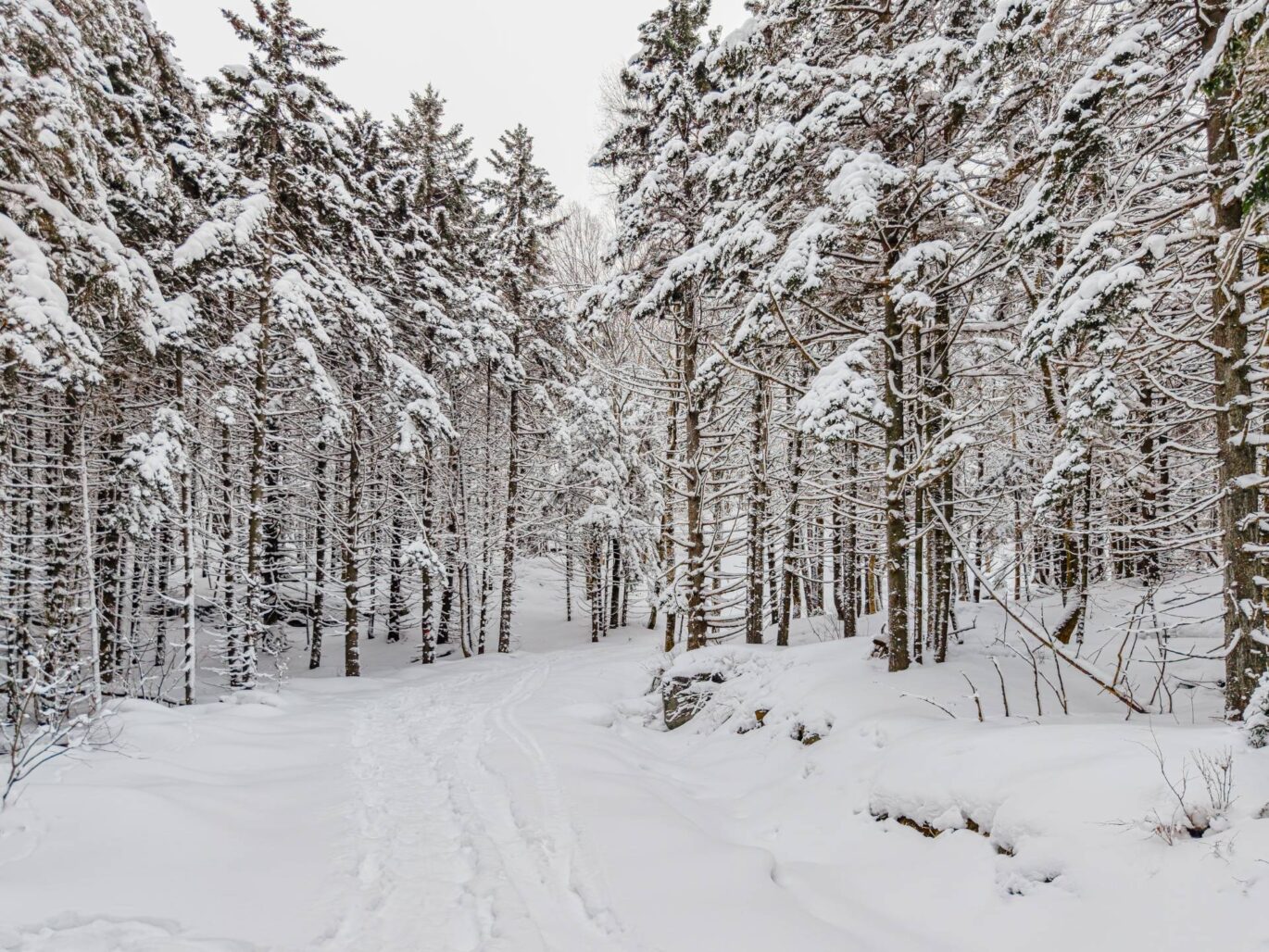 Ch. des Appalaches  Bolton-Ouest (Estrie)