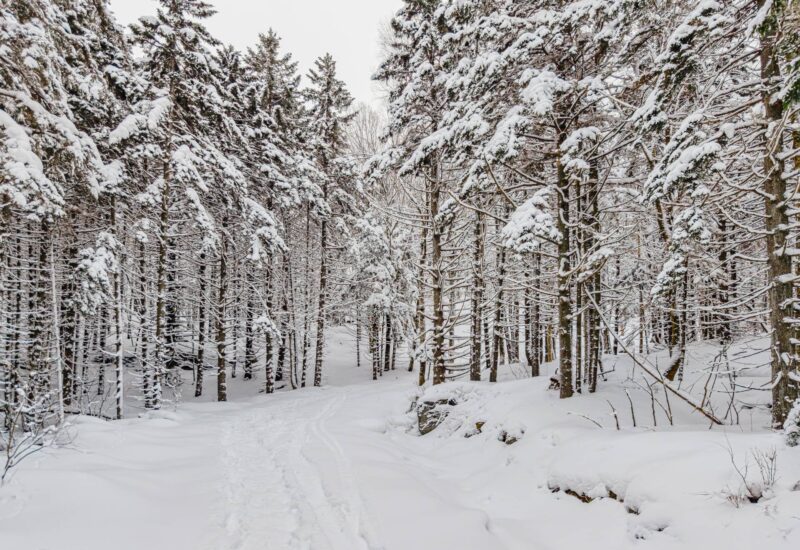 Ch. des Appalaches  Bolton-Ouest (Estrie)