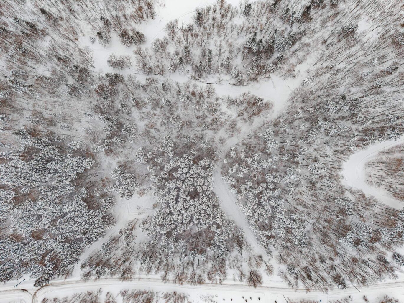 Ch. des Appalaches  Bolton-Ouest (Estrie)