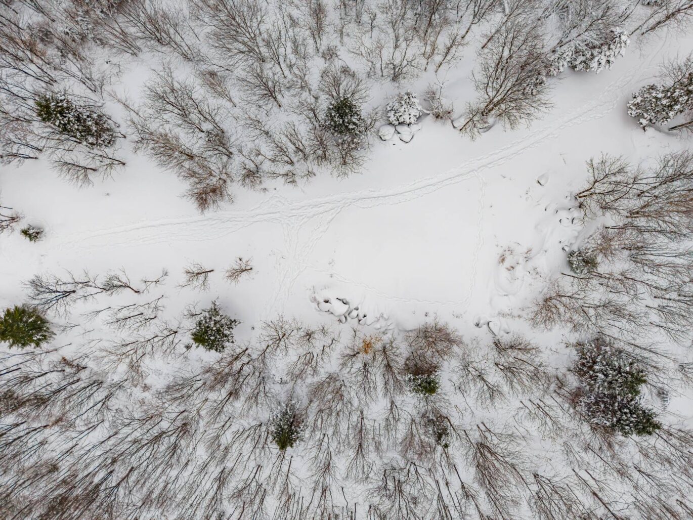 Ch. des Appalaches  Bolton-Ouest (Estrie)