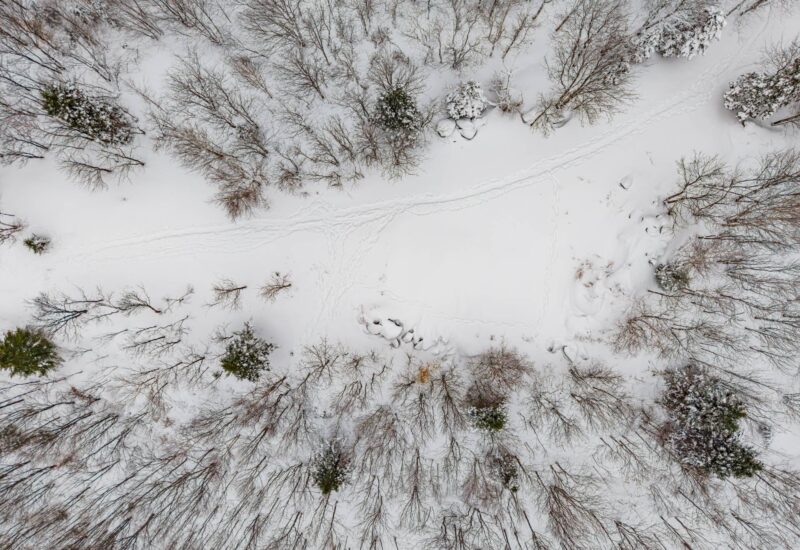 Ch. des Appalaches  Bolton-Ouest (Estrie)