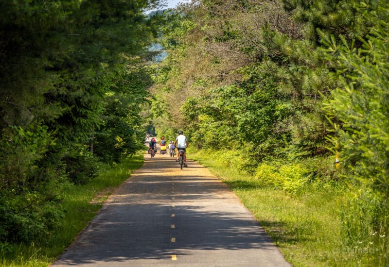 740 Allée Royale  Mont-Tremblant (Laurentides)
