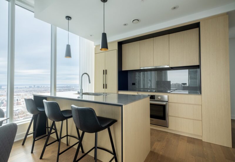 1020 Rue de la Montagne #3605  Montréal (Ville-Marie) (Montréal)