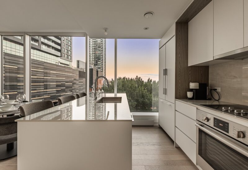 1020 Rue de la Montagne #905  Montréal (Ville-Marie) (Montréal)