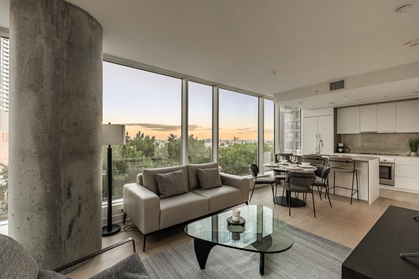 1020 Rue de la Montagne #905  Montréal (Ville-Marie) (Montréal)