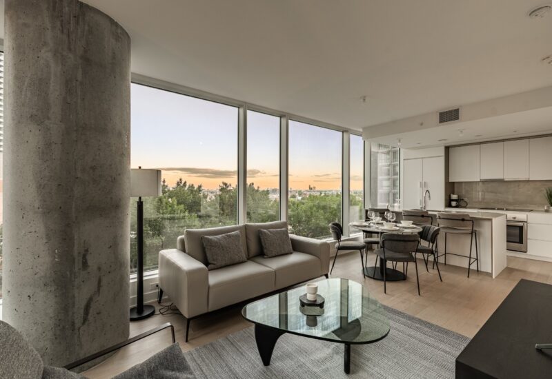 1020 Rue de la Montagne #905  Montréal (Ville-Marie) (Montréal)