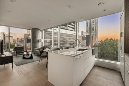 1020 Rue de la Montagne #905  Montréal (Ville-Marie) (Montréal)