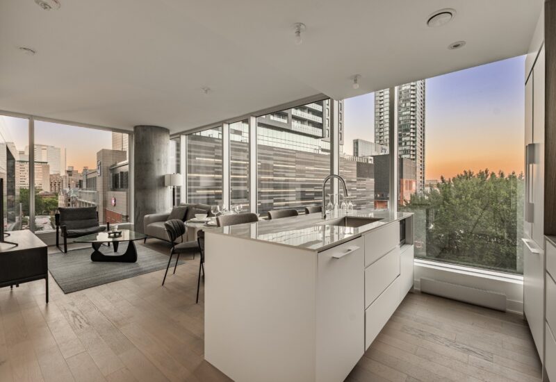 1020 Rue de la Montagne #905  Montréal (Ville-Marie) (Montréal)