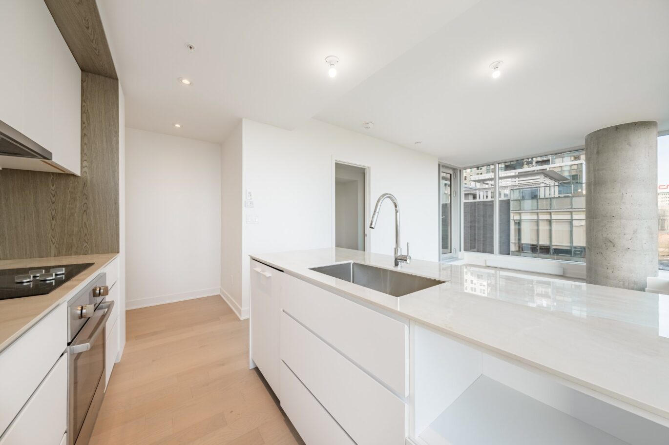 1020 Rue de la Montagne #905  Montréal (Ville-Marie) (Montréal)