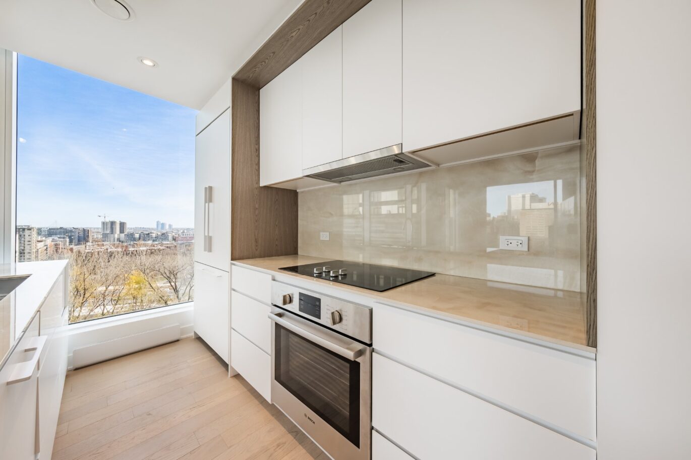 1020 Rue de la Montagne #905  Montréal (Ville-Marie) (Montréal)