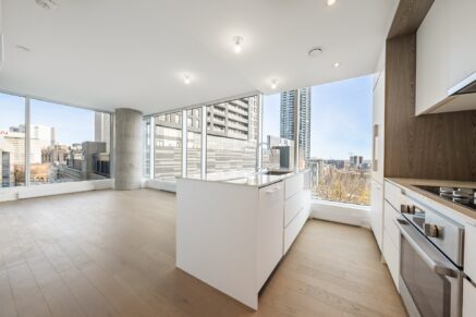 1020 Rue de la Montagne #905  Montréal (Ville-Marie) (Montréal)