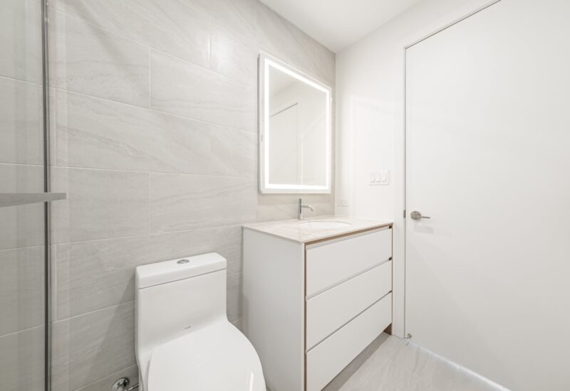 1020 Rue de la Montagne #905  Montréal (Ville-Marie) (Montréal)