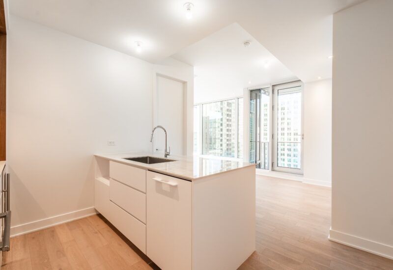 1020 Rue de la Montagne #3601  Montréal (Ville-Marie) (Montréal)