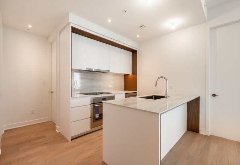 1020 Rue de la Montagne #3601  Montréal (Ville-Marie) (Montréal)