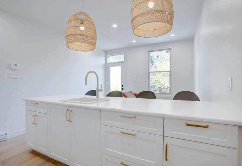 5344 Rue De Lanaudière  Montréal (Le Plateau-Mont-Royal) (Montréal)