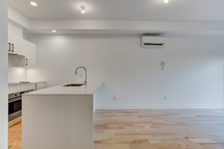 1966 Rue du Centre #302  Montréal (Le Sud-Ouest) (Montréal)