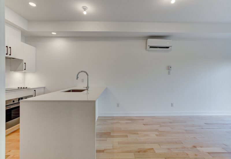 1966 Rue du Centre #302  Montréal (Le Sud-Ouest) (Montréal)