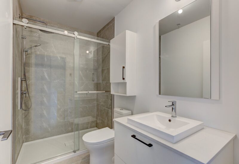 1966 Rue du Centre #302  Montréal (Le Sud-Ouest) (Montréal)