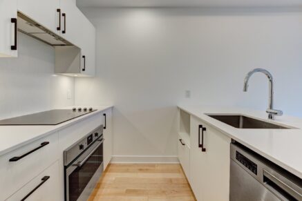 1966 Rue du Centre #302  Montréal (Le Sud-Ouest) (Montréal)