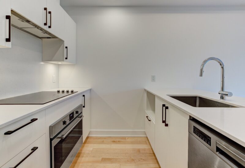 1966 Rue du Centre #302  Montréal (Le Sud-Ouest) (Montréal)