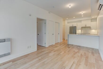 1966 Rue du Centre #302  Montréal (Le Sud-Ouest) (Montréal)