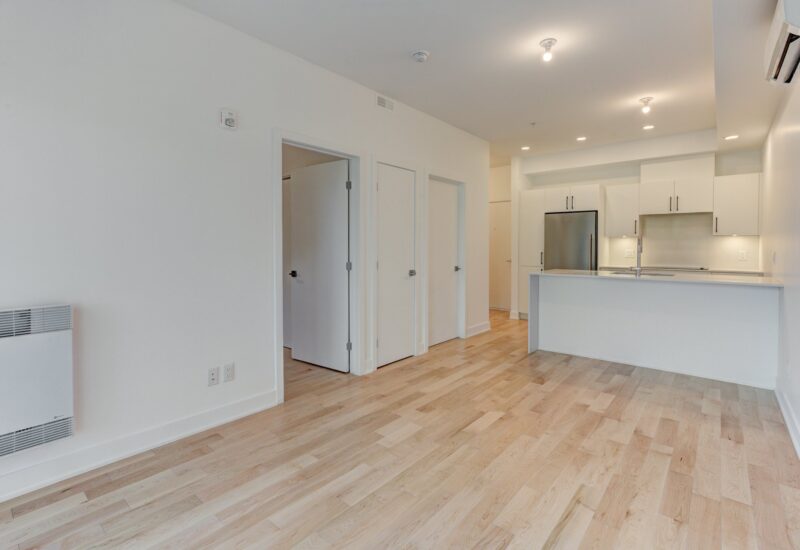 1966 Rue du Centre #302  Montréal (Le Sud-Ouest) (Montréal)