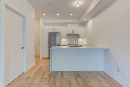 1966 Rue du Centre #302  Montréal (Le Sud-Ouest) (Montréal)