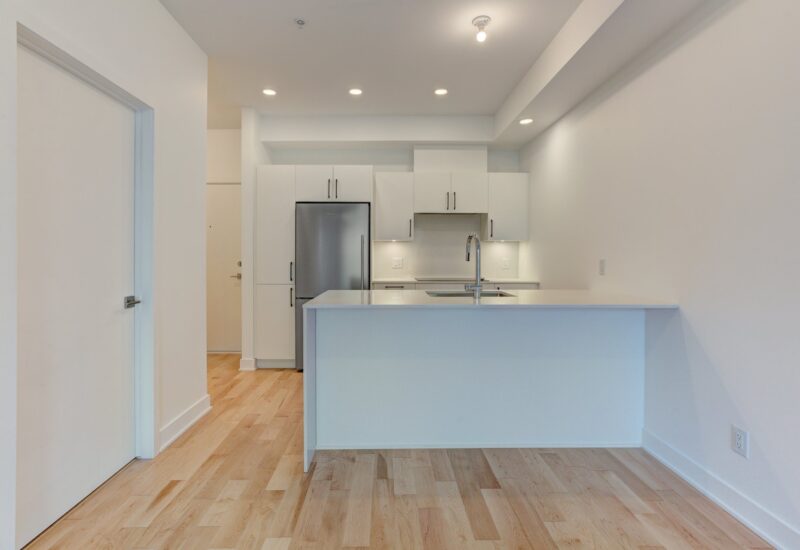 1966 Rue du Centre #302  Montréal (Le Sud-Ouest) (Montréal)