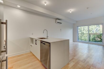 1966 Rue du Centre #302  Montréal (Le Sud-Ouest) (Montréal)