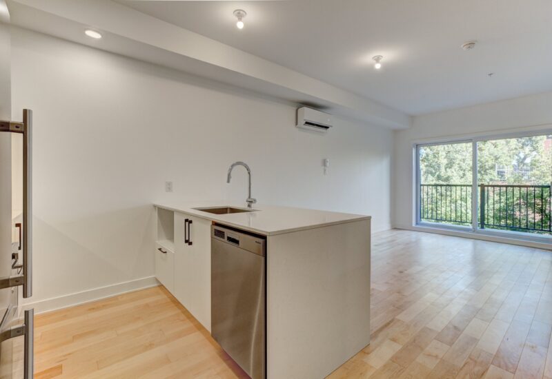 1966 Rue du Centre #302  Montréal (Le Sud-Ouest) (Montréal)