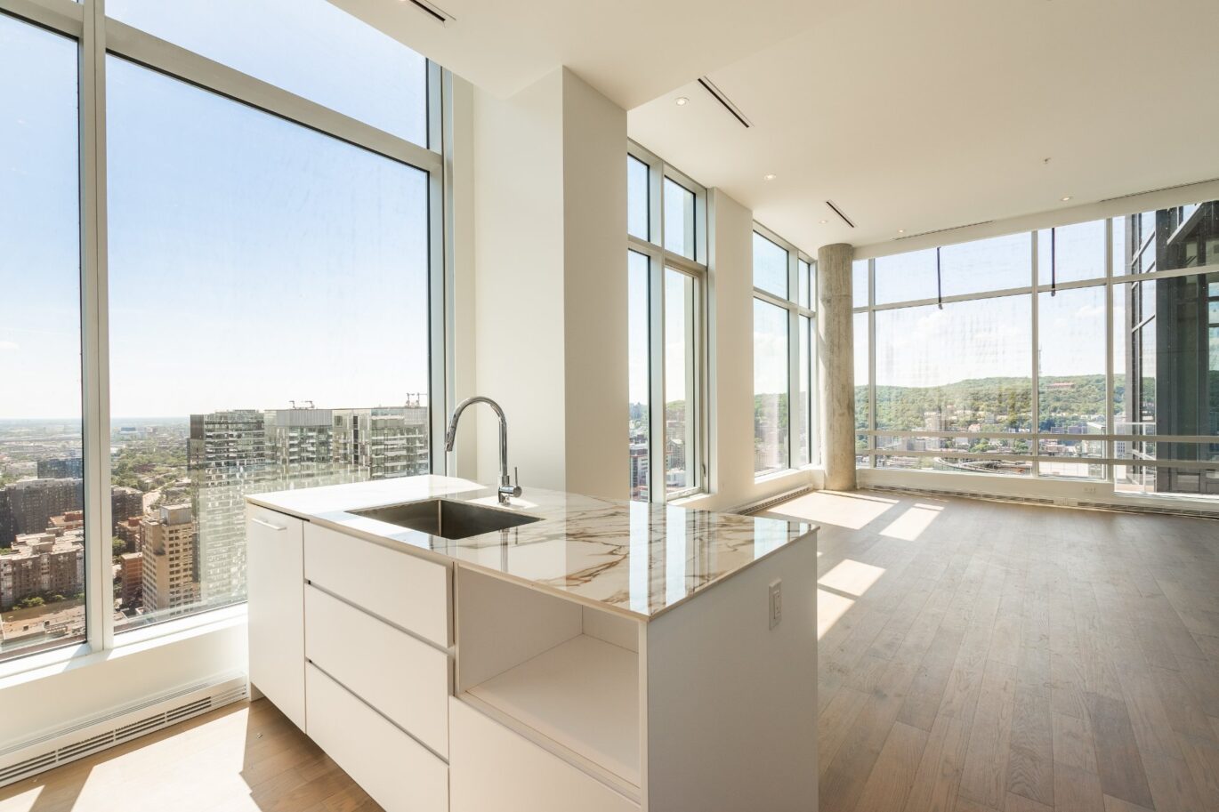 1020 Rue de la Montagne #PH-4103  Montréal (Ville-Marie) (Montréal)