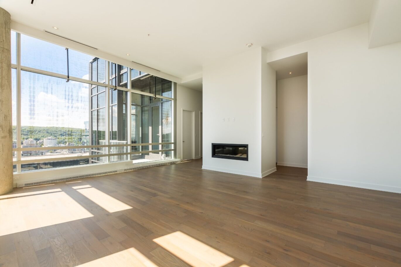 1020 Rue de la Montagne #PH-4103  Montréal (Ville-Marie) (Montréal)