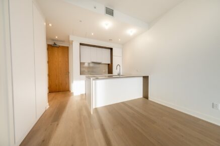 1020 Rue de la Montagne #3508  Montréal (Ville-Marie) (Montréal)