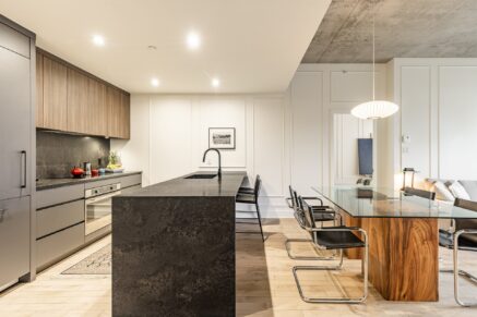 42 Rue du Square-Sir-George-Étienne-Cartier #603  Montréal (Le Sud-Ouest) (Montréal)