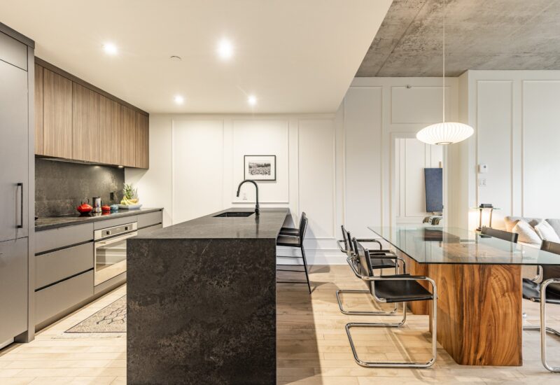 42 Rue du Square-Sir-George-Étienne-Cartier #603  Montréal (Le Sud-Ouest) (Montréal)