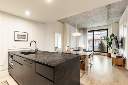 42 Rue du Square-Sir-George-Étienne-Cartier #603  Montréal (Le Sud-Ouest) (Montréal)