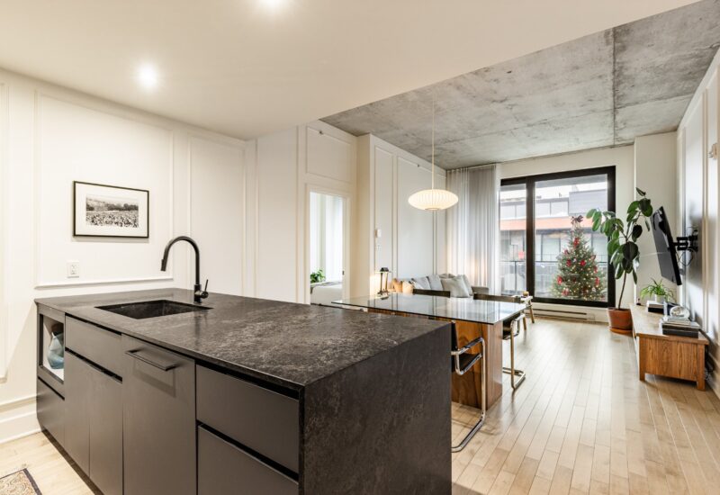 42 Rue du Square-Sir-George-Étienne-Cartier #603  Montréal (Le Sud-Ouest) (Montréal)