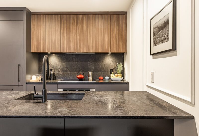 42 Rue du Square-Sir-George-Étienne-Cartier #603  Montréal (Le Sud-Ouest) (Montréal)