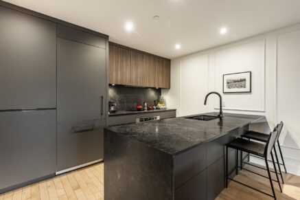 42 Rue du Square-Sir-George-Étienne-Cartier #603  Montréal (Le Sud-Ouest) (Montréal)