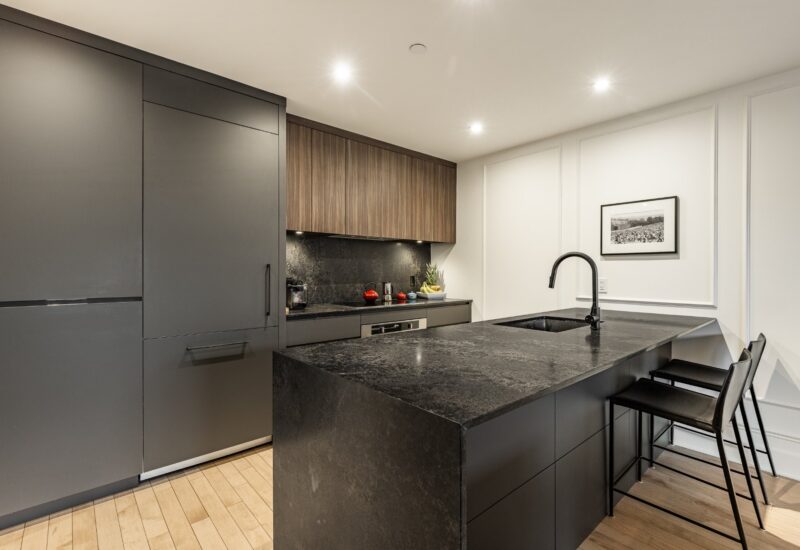 42 Rue du Square-Sir-George-Étienne-Cartier #603  Montréal (Le Sud-Ouest) (Montréal)