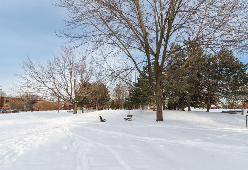 289 Rue Argyle  Montréal (Verdun/Île-des-Sœurs) (Montréal)