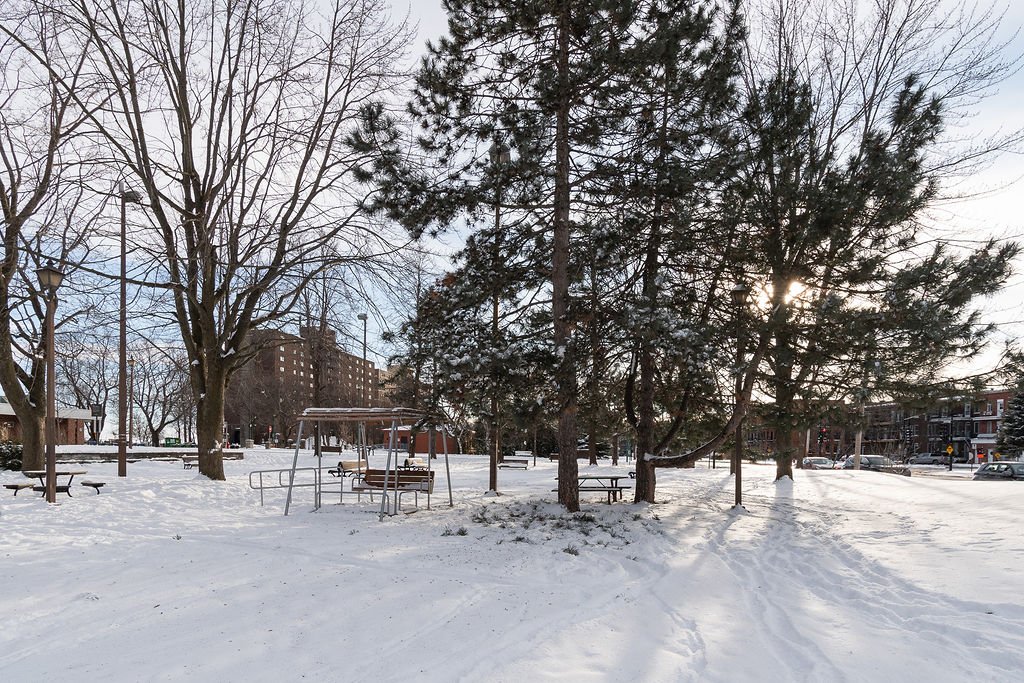 289 Rue Argyle  Montréal (Verdun/Île-des-Sœurs) (Montréal)