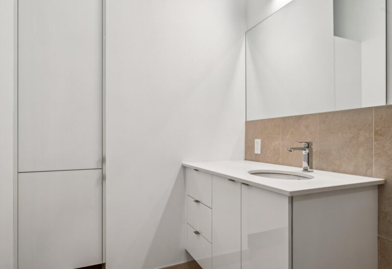 285 Av. Laurier E. #101  Montréal (Le Plateau-Mont-Royal) (Montréal)