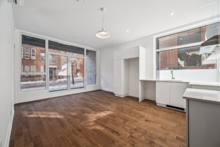 285 Av. Laurier E. #101  Montréal (Le Plateau-Mont-Royal) (Montréal)