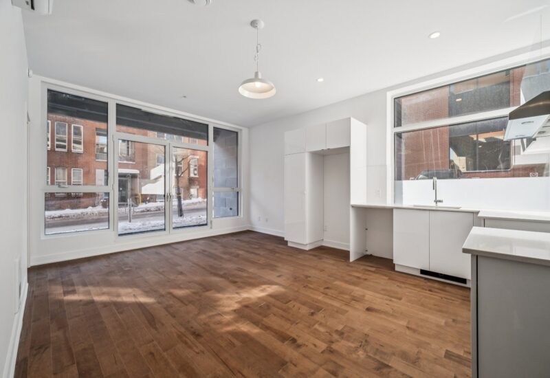 285 Av. Laurier E. #101  Montréal (Le Plateau-Mont-Royal) (Montréal)