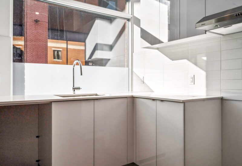 285 Av. Laurier E. #101  Montréal (Le Plateau-Mont-Royal) (Montréal)