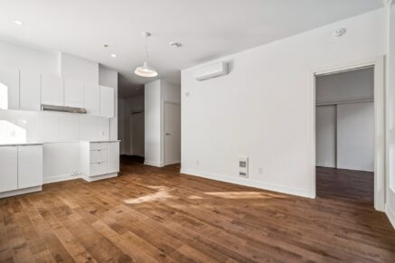 285 Av. Laurier E. #101  Montréal (Le Plateau-Mont-Royal) (Montréal)