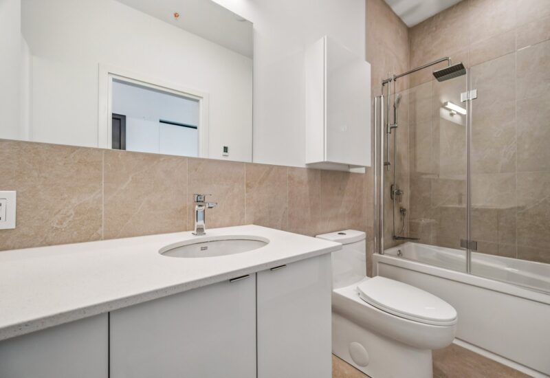 285 Av. Laurier E. #101  Montréal (Le Plateau-Mont-Royal) (Montréal)