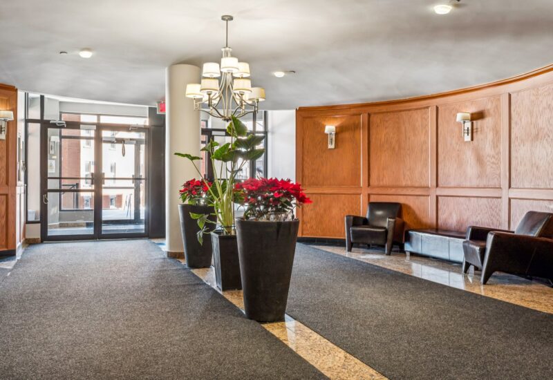 285 Av. Laurier E. #101  Montréal (Le Plateau-Mont-Royal) (Montréal)